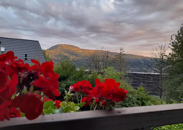 Pod Orlem 3* Szczyrk